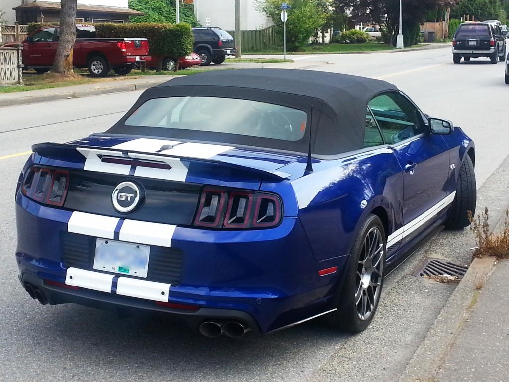 Name:  20140817_161029_zps31db8e2f.jpg
Views: 40
Size:  130.3 KB