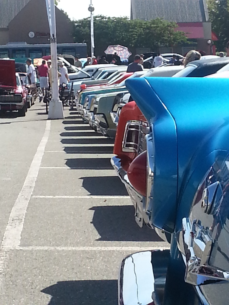 Name:  20140804_105641_zps126e1e5f.jpg
Views: 47
Size:  299.3 KB