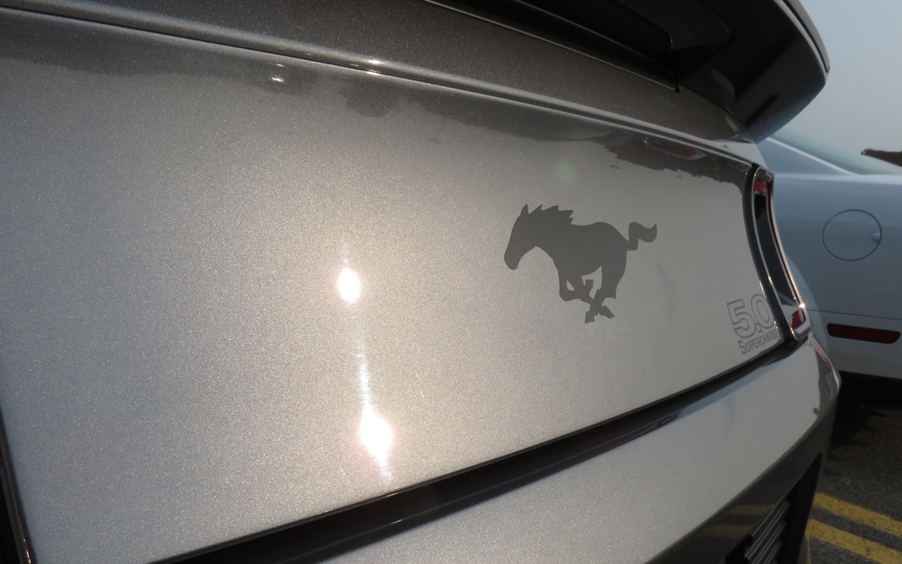 Name:  2014-07-25_a_zps6a07f041.jpg
Views: 72
Size:  321.2 KB