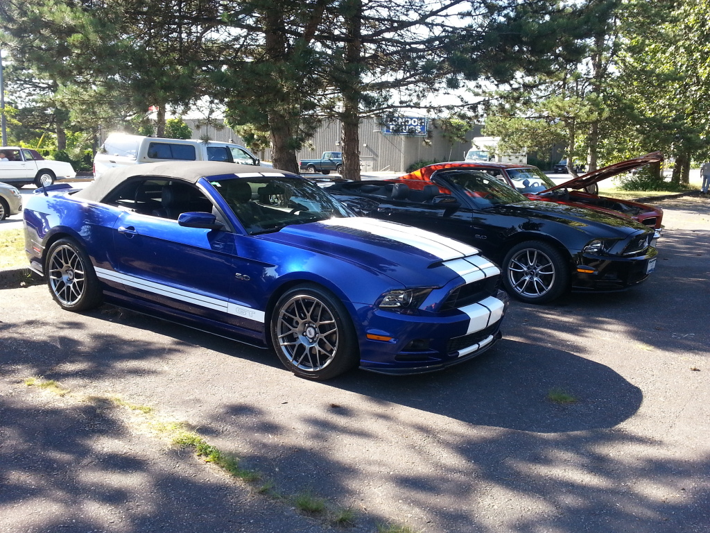 Name:  20140710_171715_zpsae1da519.jpg
Views: 77
Size:  529.5 KB