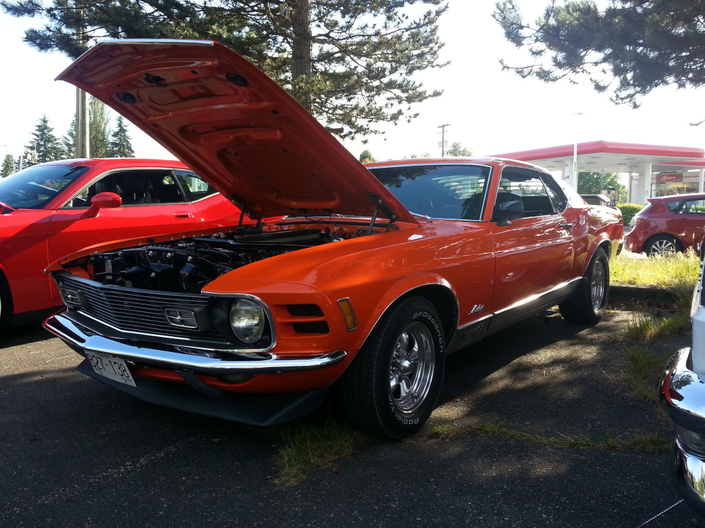 Name:  20140626_182909_zps80cf7d5a.jpg
Views: 97
Size:  405.4 KB