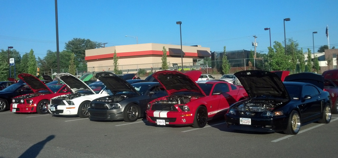 Name:  2014-06-07_show1_zps81263b28.jpg
Views: 42
Size:  260.9 KB