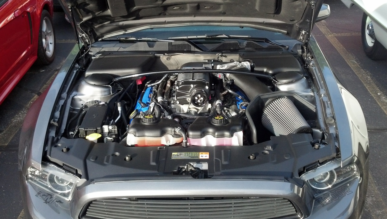 Name:  2014-05-29_STBcovers_zpsa19a8332.jpg
Views: 38
Size:  368.3 KB