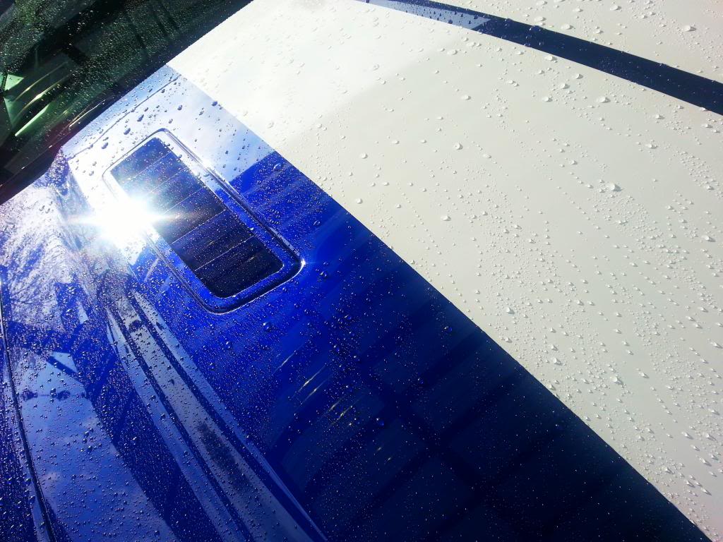 Name:  20140421_171540_zpsc5b744bb.jpg
Views: 83
Size:  136.3 KB