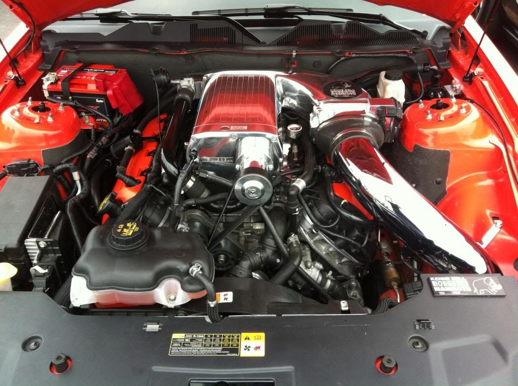 Name:  IMG_0463_zps0a706920.jpg
Views: 50
Size:  123.9 KB