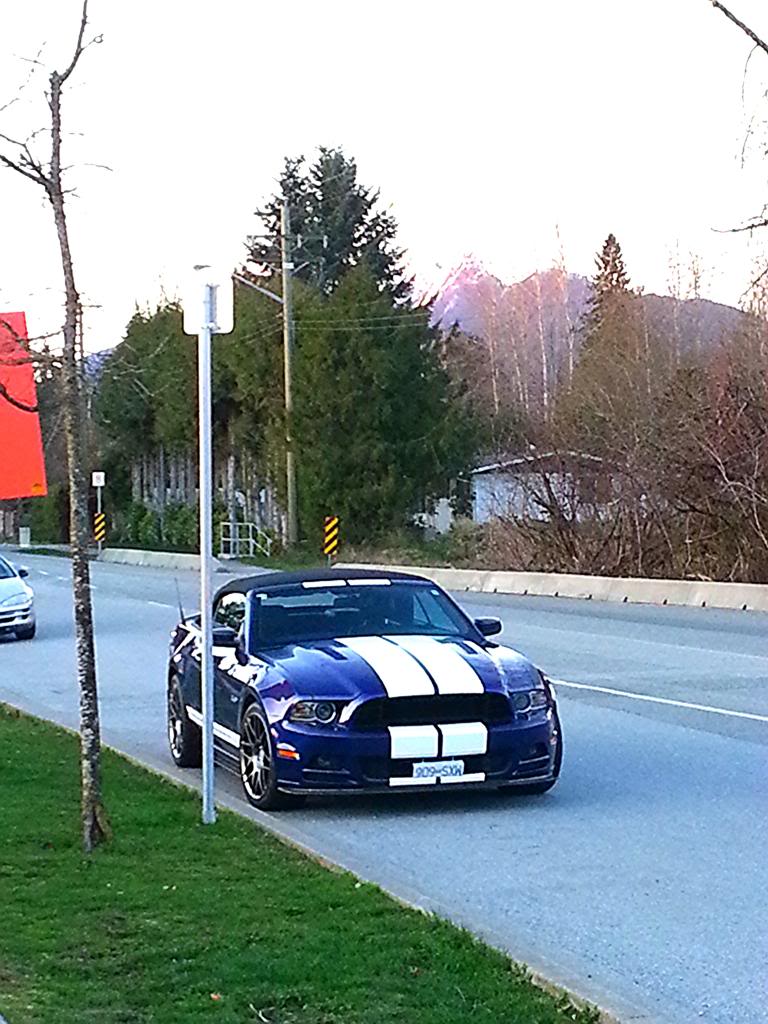 Name:  ea2686f8-9fff-4597-9ed1-c6b29c502e15_zps4eae23cb.jpg
Views: 31
Size:  124.3 KB