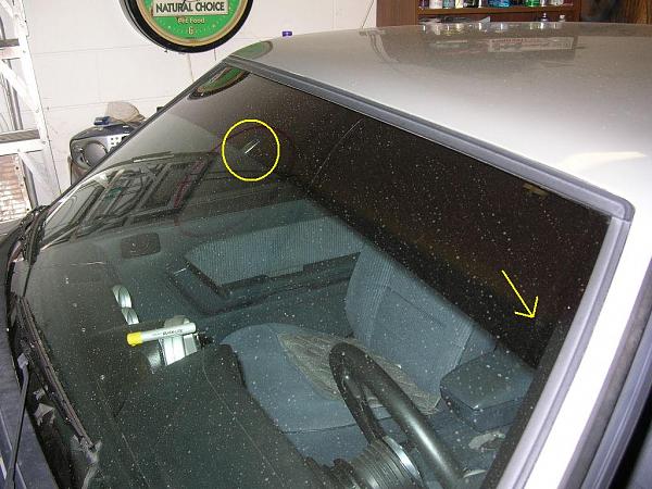 Ponies on The Run!-dscn3403.jpg