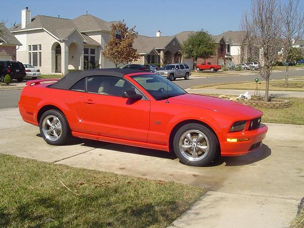 Ponies on The Run (Again)-mustang-2.26.06smaller.jpg