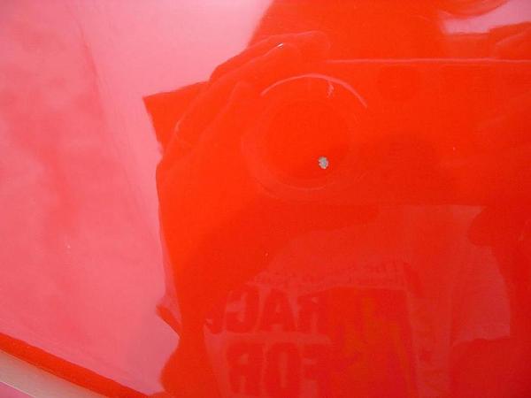 Ponies on The Run!-05.28.06-after-window-tint.jpg