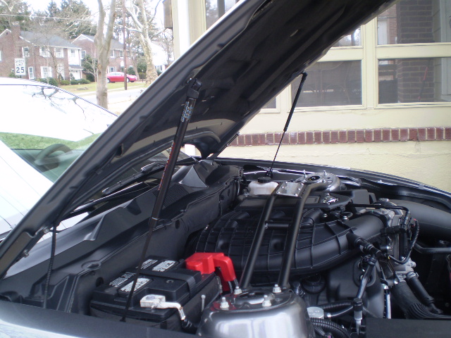 Name:  031614003.jpg
Views: 68
Size:  158.8 KB