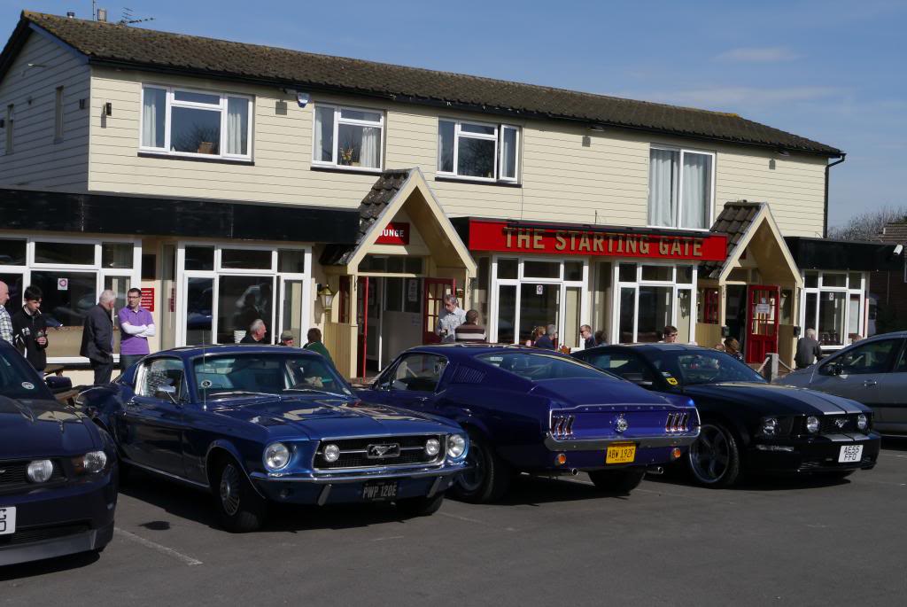 Name:  P1050798_zps455cb2e0.jpg
Views: 70
Size:  96.5 KB