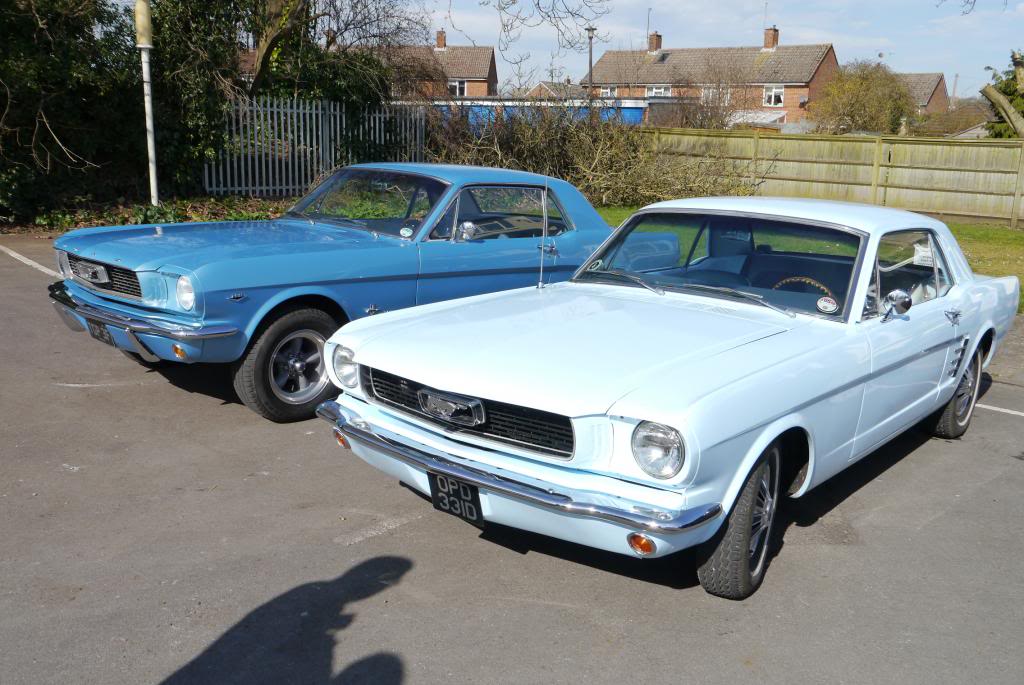 Name:  P1050786_zpsb77cd4be.jpg
Views: 37
Size:  114.8 KB