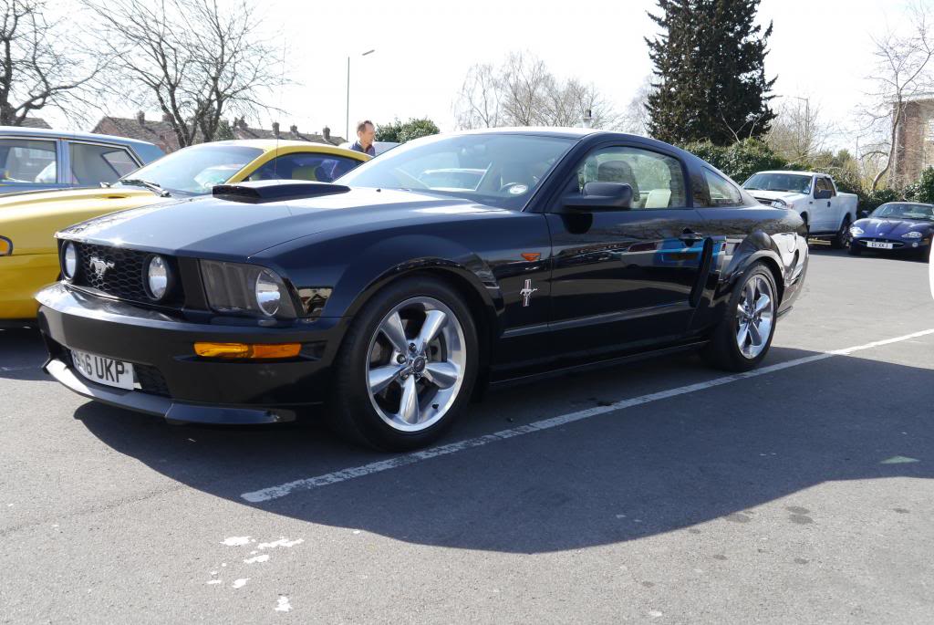 Name:  P1050787_zps2635ca52.jpg
Views: 73
Size:  110.3 KB