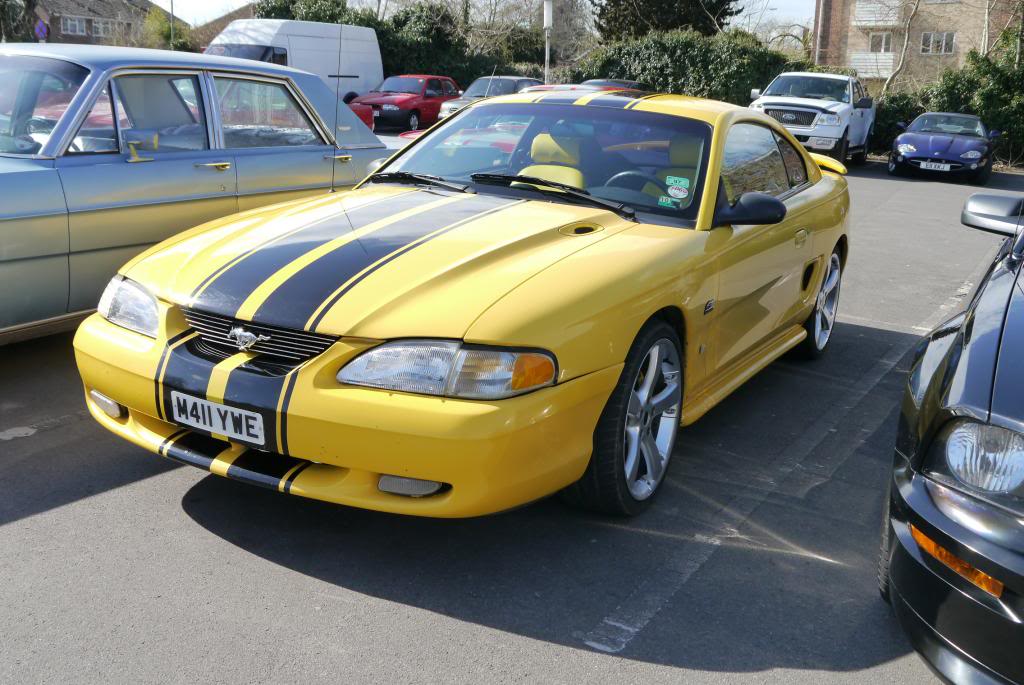 Name:  P1050788_zpsfbe22c03.jpg
Views: 61
Size:  116.2 KB