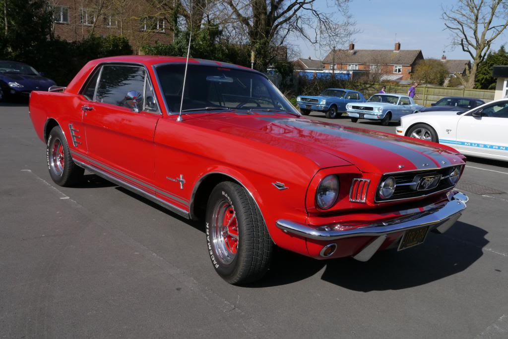 Name:  P1050791_zpsf03b34cd.jpg
Views: 63
Size:  103.8 KB