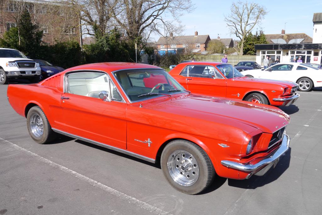 Name:  P1050792_zps5c764d9f.jpg
Views: 34
Size:  120.7 KB