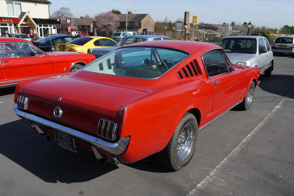 Name:  P1050793_zps8799b983.jpg
Views: 61
Size:  99.3 KB