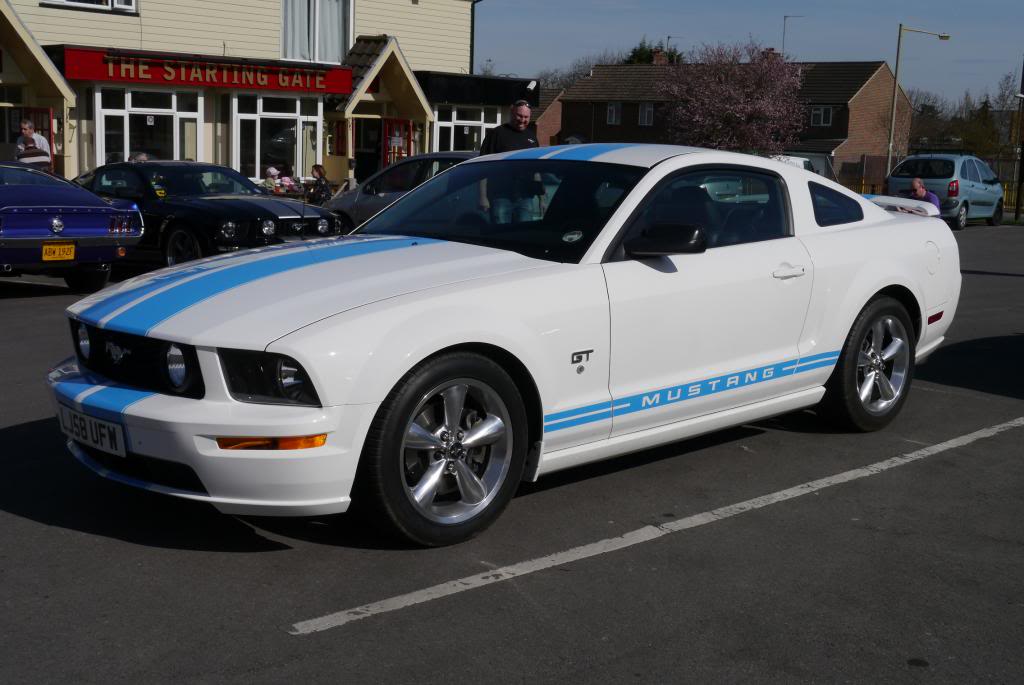 Name:  P1050796_zps6da0e8bb.jpg
Views: 70
Size:  81.8 KB