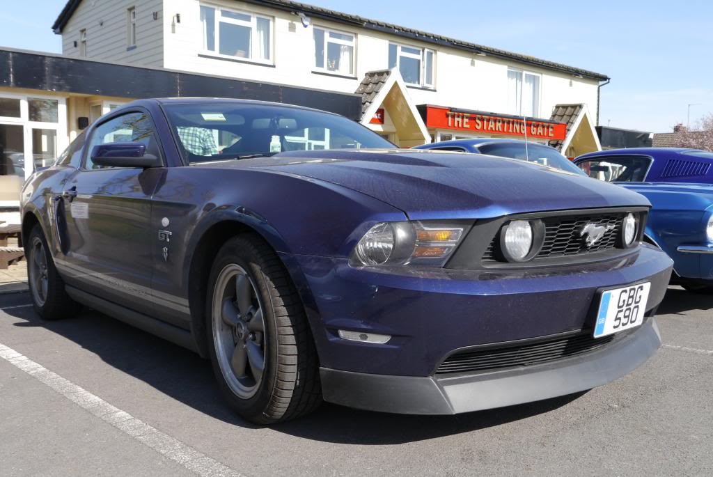 Name:  P1050800_zps5a673d52.jpg
Views: 62
Size:  96.2 KB