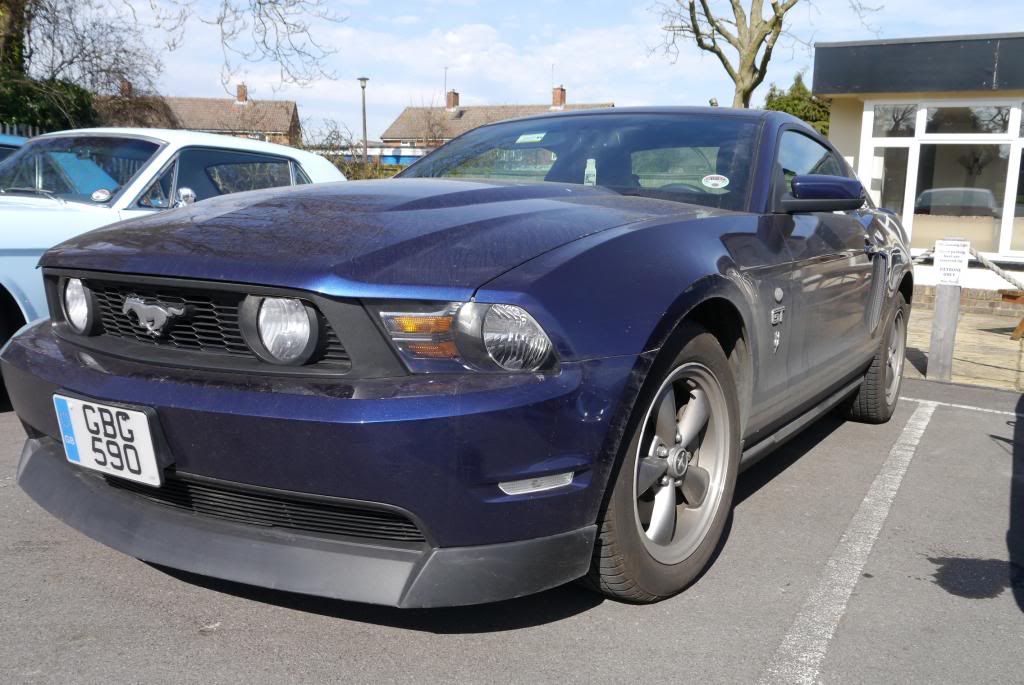 Name:  P1050785_zps6a2c0deb.jpg
Views: 64
Size:  104.1 KB