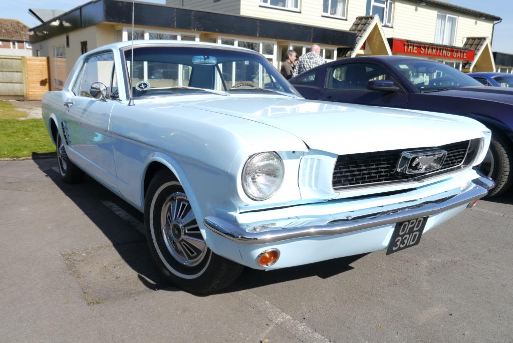 Name:  P1050801_zps8f740d24.jpg
Views: 33
Size:  104.6 KB