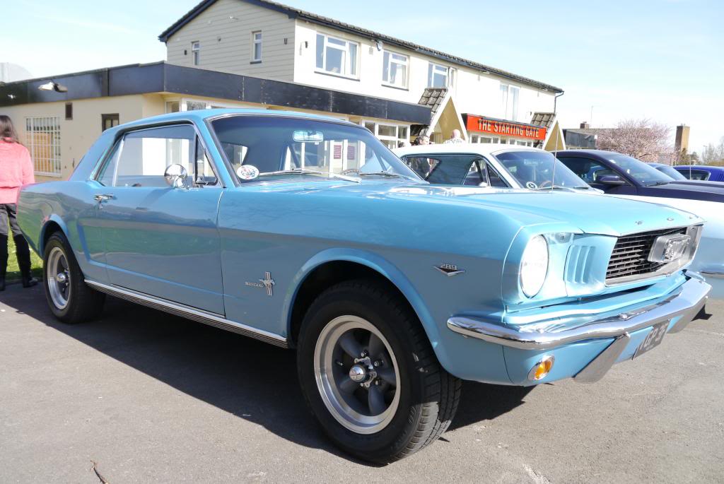 Name:  P1050802_zpsce09fcb4.jpg
Views: 36
Size:  93.5 KB