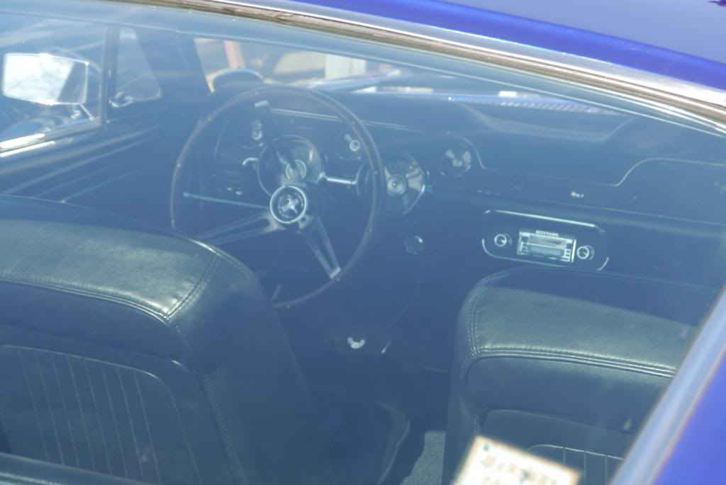 Name:  P1050808_zps1339b1d6.jpg
Views: 36
Size:  45.7 KB