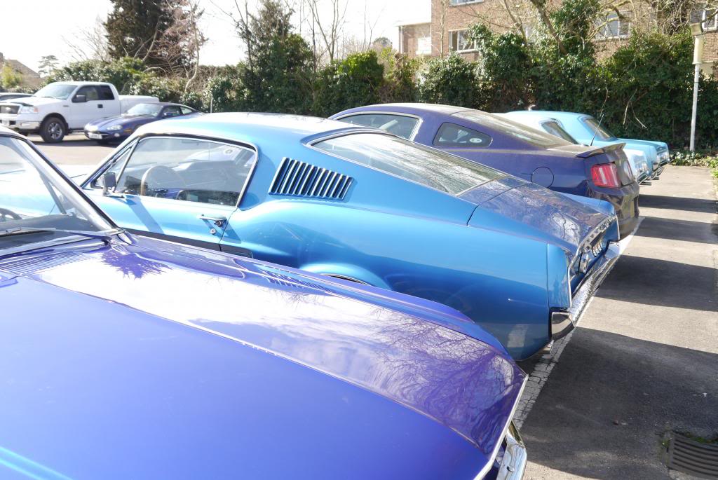 Name:  P1050810_zpsfe972fc2.jpg
Views: 35
Size:  114.6 KB