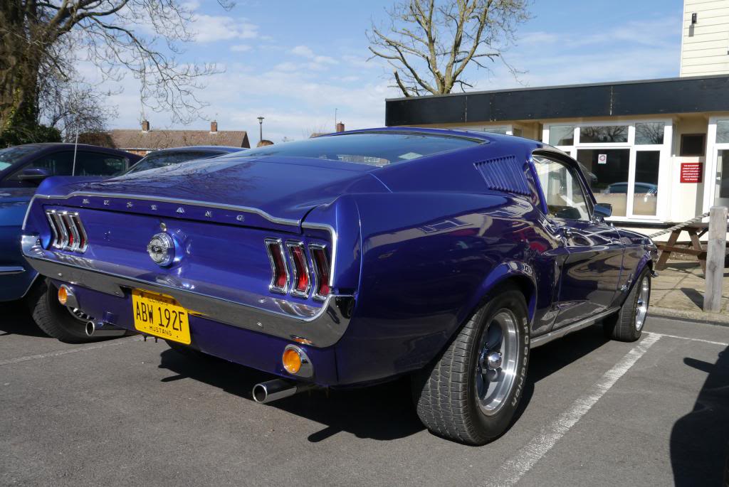 Name:  P1050783_zpsd671b9e8.jpg
Views: 58
Size:  106.3 KB