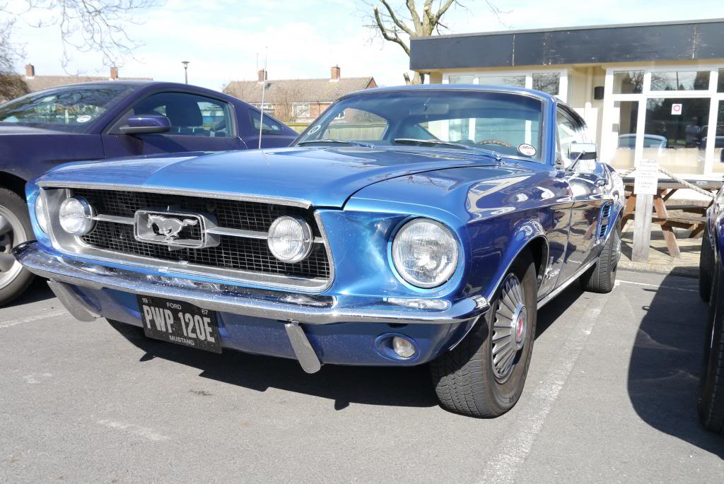 Name:  P1050784_zpsf3873cc5.jpg
Views: 77
Size:  117.2 KB