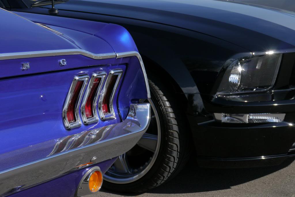 Name:  P1050806_zps02ba56ef.jpg
Views: 59
Size:  68.3 KB