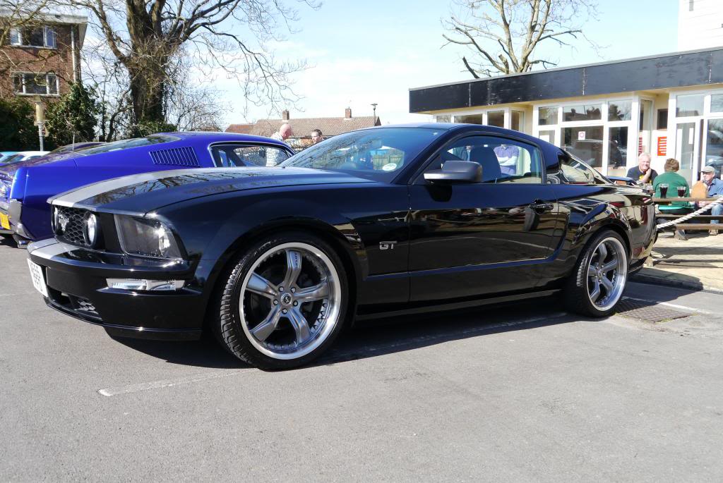 Name:  P1050803_zpsfb49001d.jpg
Views: 35
Size:  123.3 KB