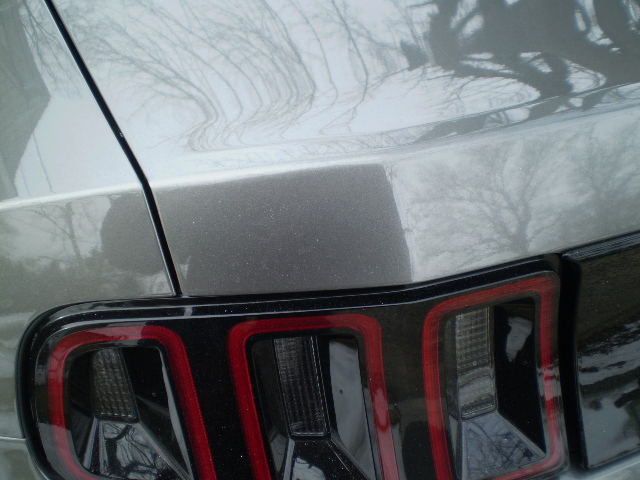 Name:  Mustang002.jpg
Views: 51
Size:  161.1 KB