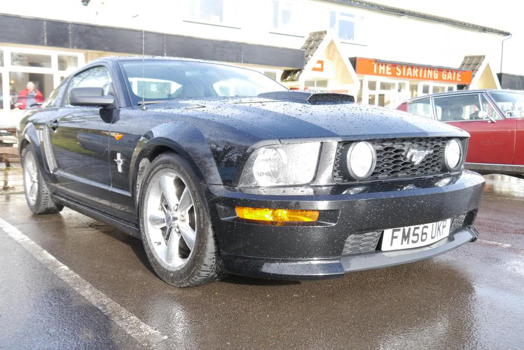 Name:  P1050653_zps4d022576.jpg
Views: 52
Size:  126.5 KB