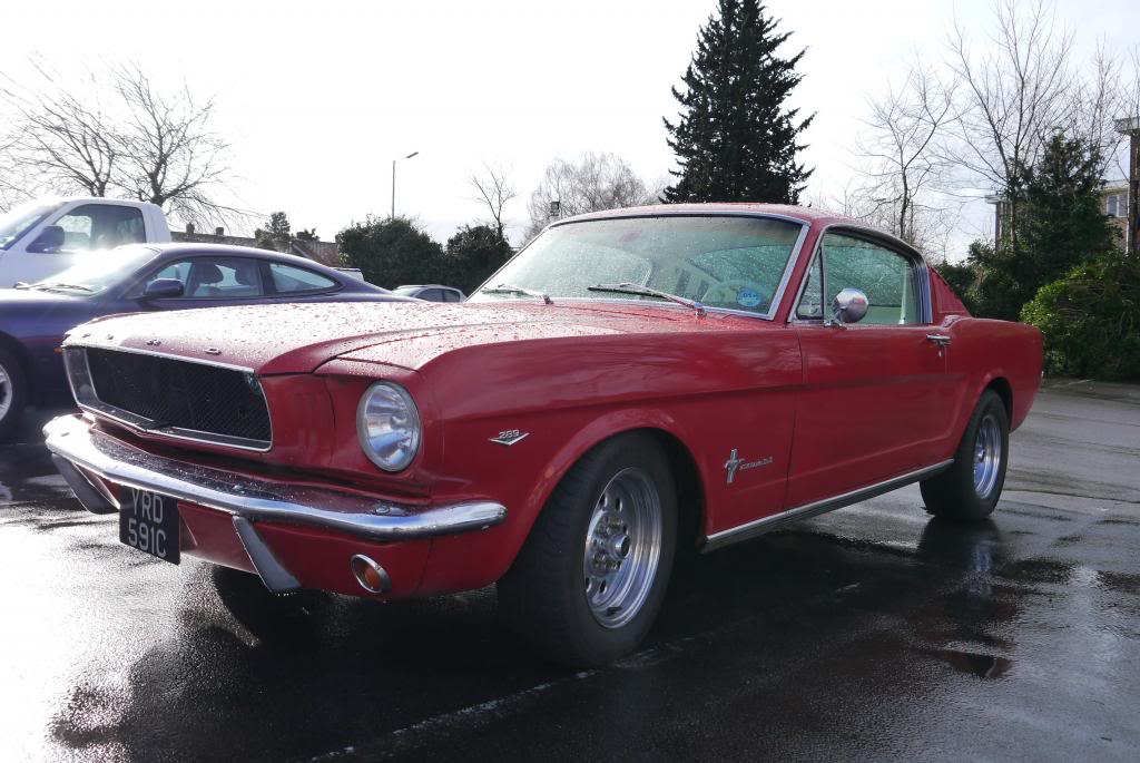 Name:  P1050654_zpsfd4f6bf4.jpg
Views: 126
Size:  104.0 KB