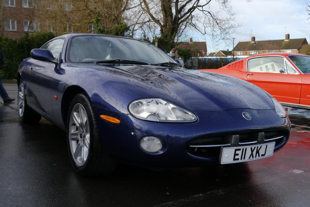 Name:  P1050658_zps6a1be661.jpg
Views: 93
Size:  97.2 KB