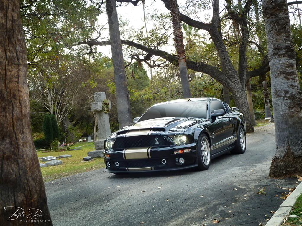 Name:  Gravesite0921Dres_zps5fde30fd.jpg
Views: 136
Size:  186.2 KB