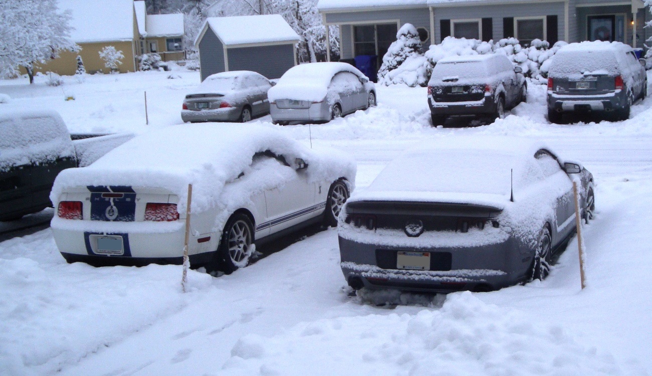 Name:  2014-01-19_snow7in_zps1e382c51.jpg
Views: 88
Size:  356.7 KB