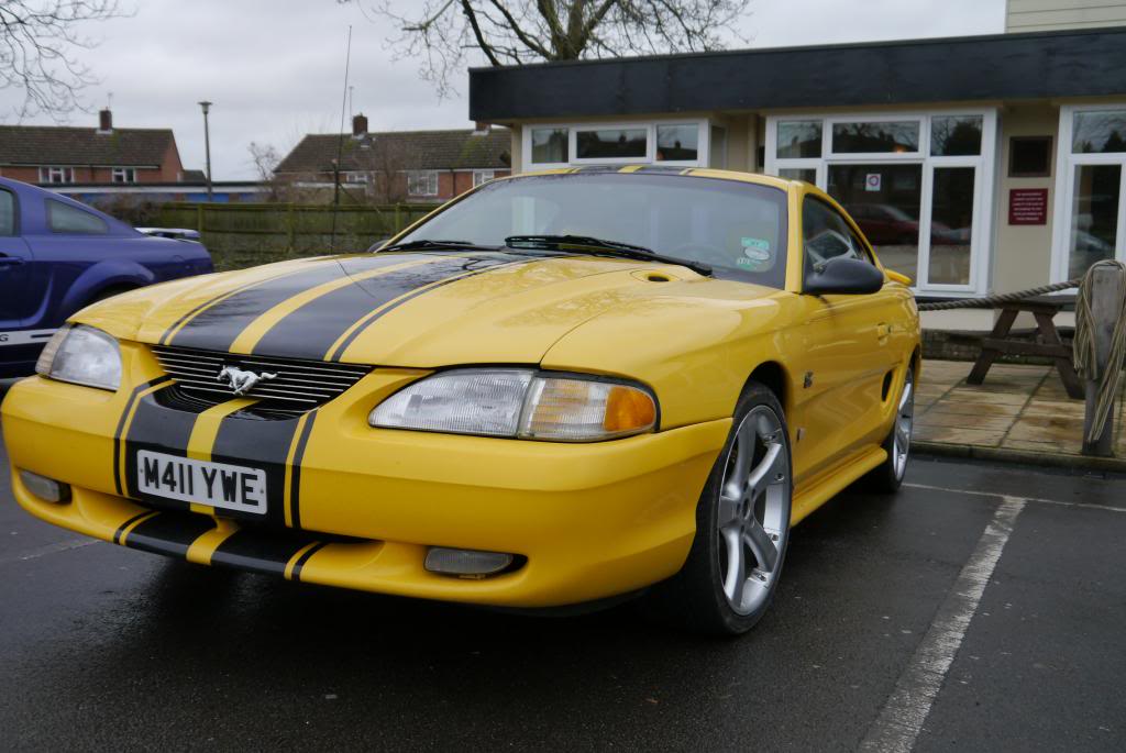 Name:  P1050617_zpsf3d436bc.jpg
Views: 96
Size:  84.7 KB