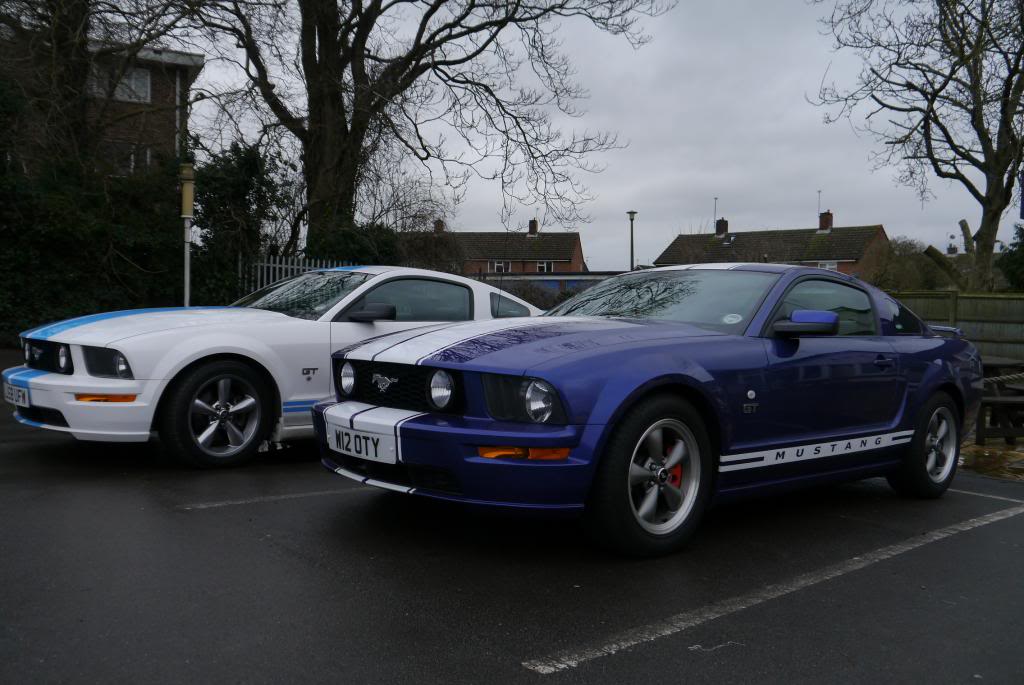 Name:  P1050618_zps1f58faca.jpg
Views: 143
Size:  95.9 KB