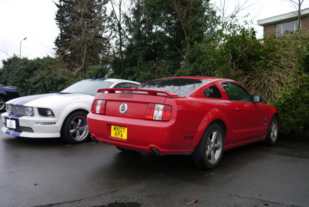 Name:  P1050620_zps164c4d76.jpg
Views: 56
Size:  107.3 KB