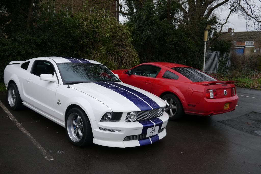 Name:  P1050621_zps7f46a012.jpg
Views: 98
Size:  98.3 KB