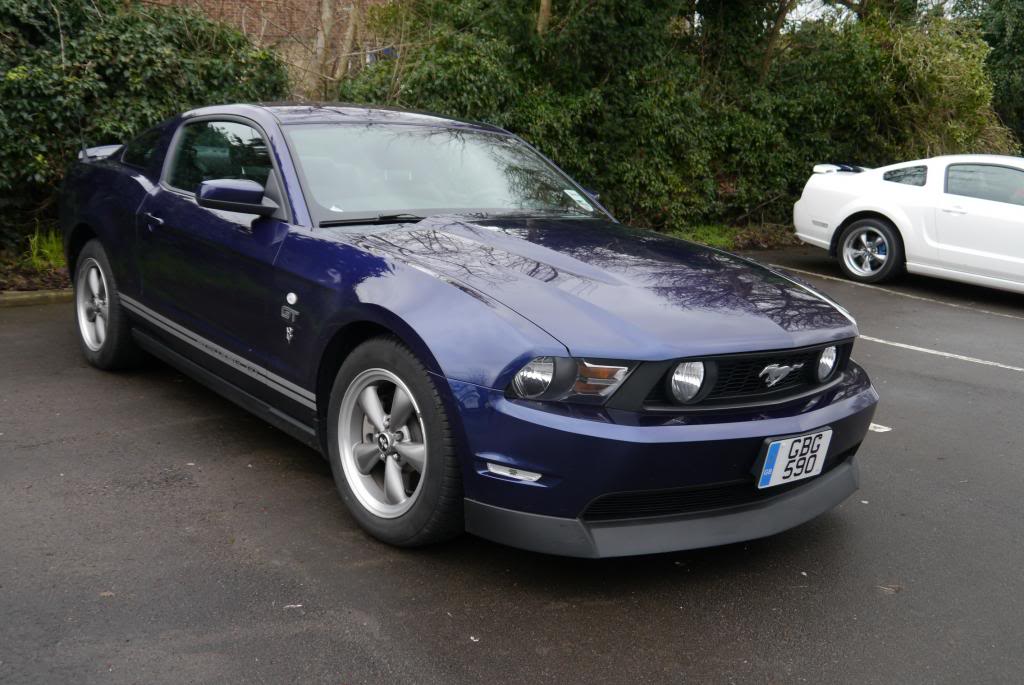 Name:  P1050623_zpsa3086ae9.jpg
Views: 100
Size:  101.3 KB