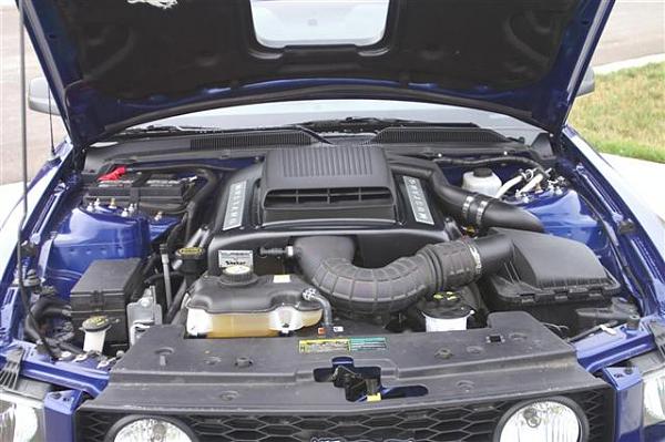 Ponies on The Run!-adrenalin_shaker.jpg