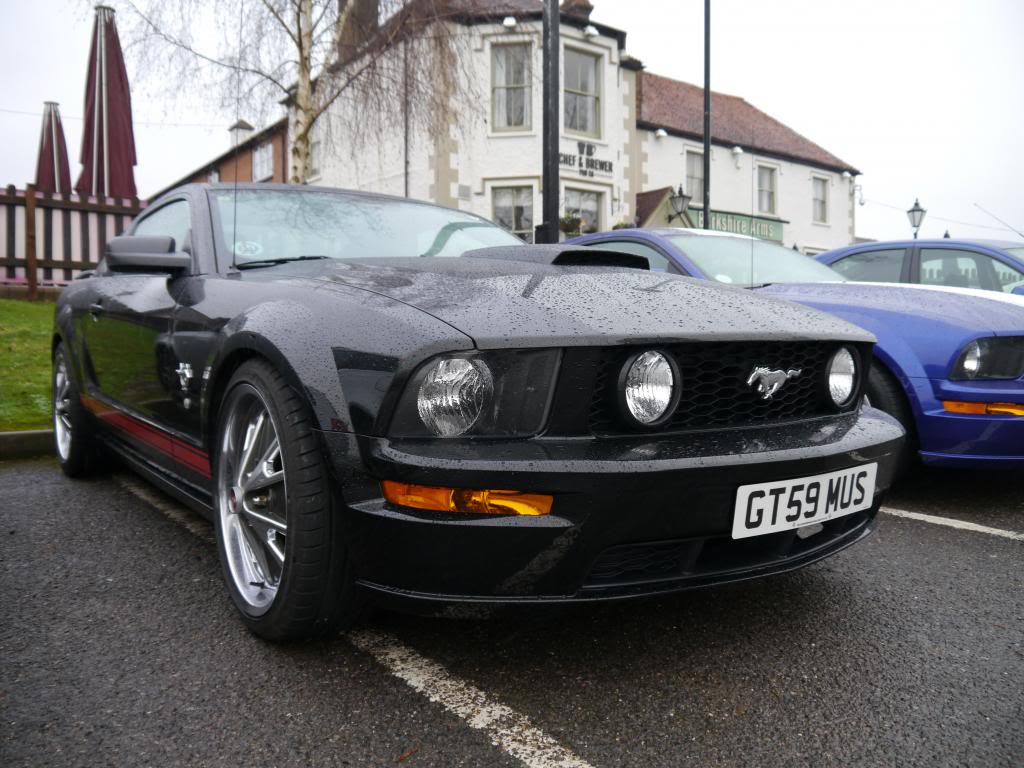 Name:  P1050430_zps61b0b6fe.jpg
Views: 94
Size:  115.9 KB