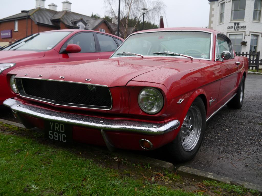 Name:  P1050436_zpse122831e.jpg
Views: 133
Size:  118.3 KB