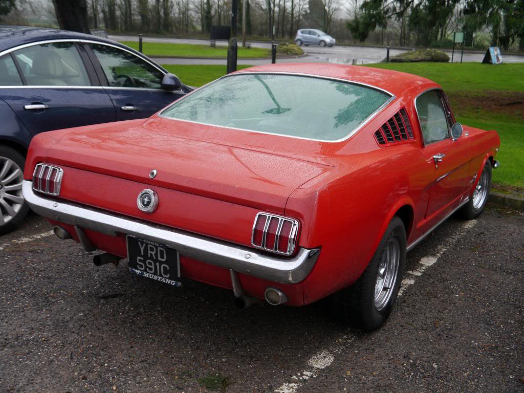 Name:  P1050435_zps1d71e2c1.jpg
Views: 107
Size:  120.3 KB