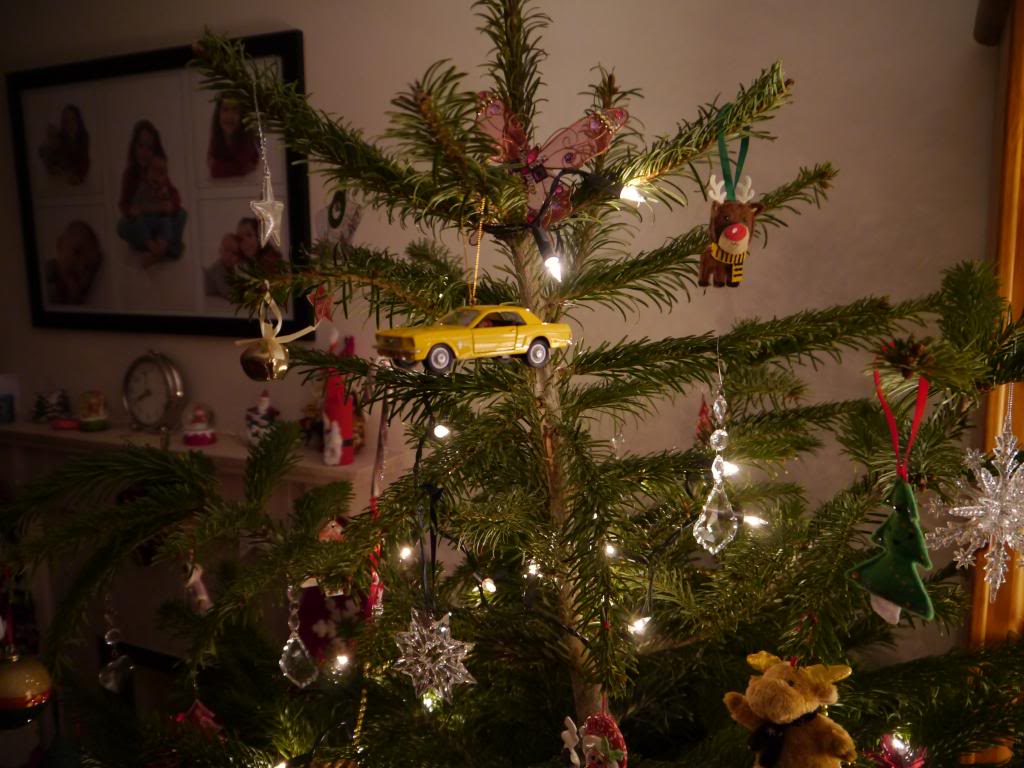 Name:  P1050420_zps42a8e48d.jpg
Views: 96
Size:  106.4 KB