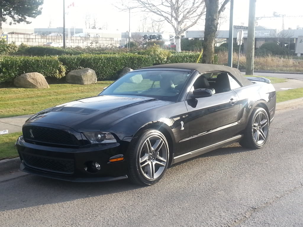 Name:  20131123_135428_zps46c3839f.jpg
Views: 37
Size:  183.6 KB