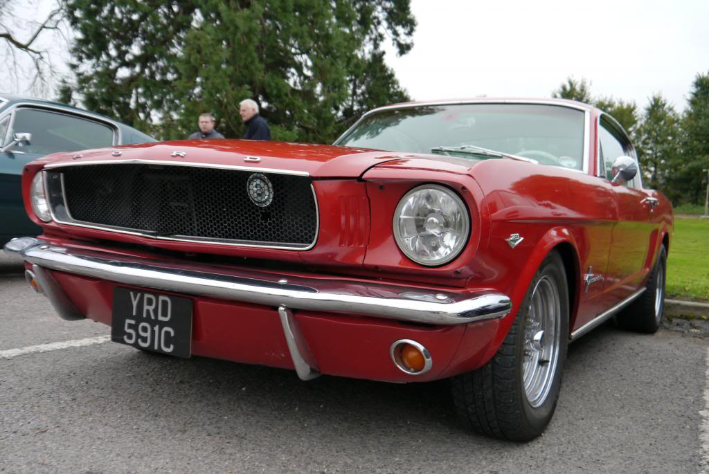 Name:  P1050222_zps2785d992.jpg
Views: 73
Size:  99.3 KB